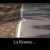 demotivateur36
