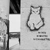 tumblr msb52lsZj91sf6rx1o1 1280