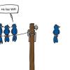 wifi